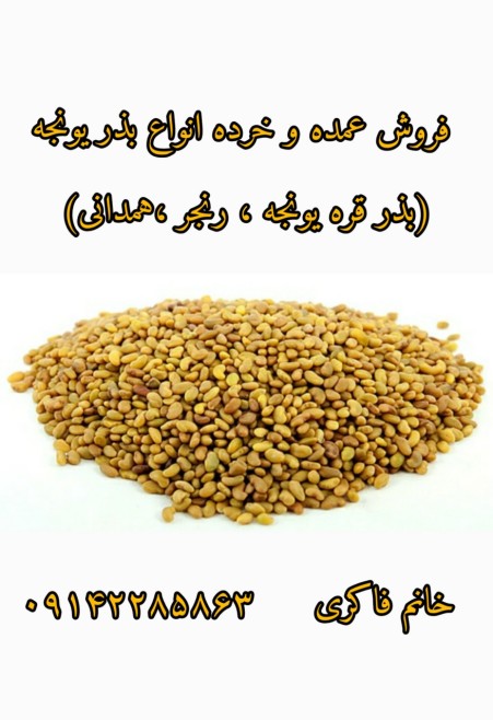 واردات و صادرات انواع بذر یونجه و علوفه