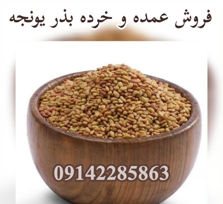 فروش بذر یونجه پایه بلند بوجاری شده