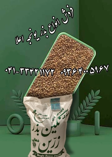 فروش بذر یونجه و بذر علوفه درجه یک