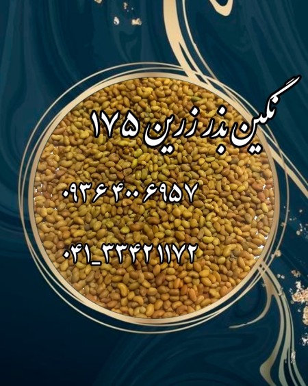 فروش بذر یونجه و بذر علوفه درجه یک