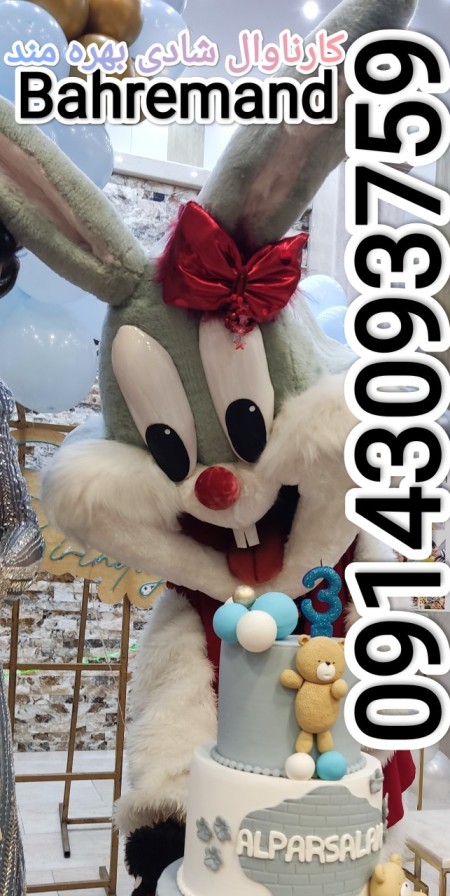 تن پوشهای عروسکی خرگوش و میکی و توییتی و پو و طرح های سفارشی بهره‌مند 09143093759