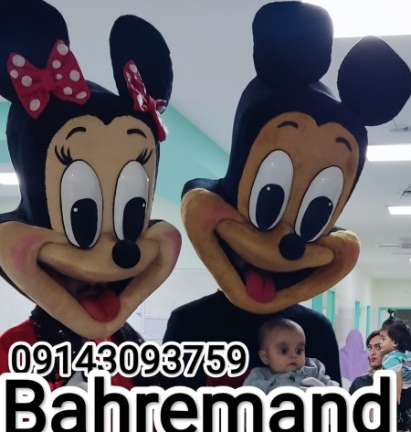 Rabbit, Mickey, Tweety, Poo doll clothes and customized designs benefit 09143093759