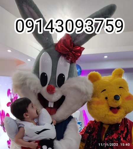 تن پوشهای عروسکی خرگوش و میکی و توییتی و پو و طرح های سفارشی بهره‌مند 09143093759