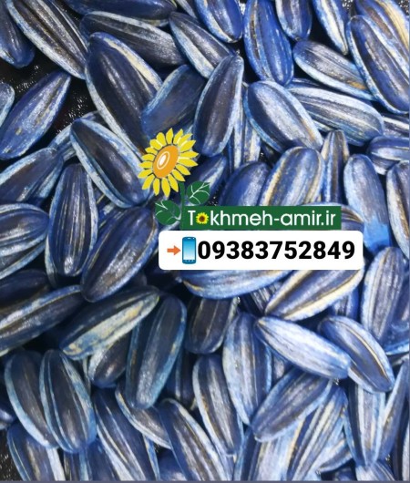 Canadian seed hybrid seed