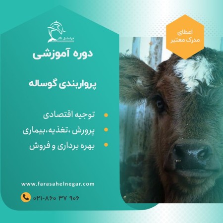Training course on raising and fattening male calves