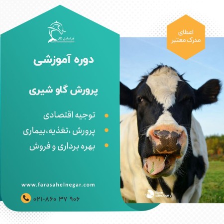 Training course on raising dairy cows and dairy heifers + visit