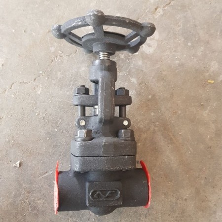 گلوب ولو 1/2 اینچ کلاس 800 ساکت ولد | قیمت امروز