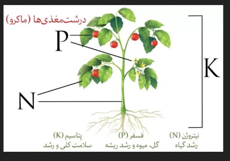 Sale of NPK fertilizer with high solubility