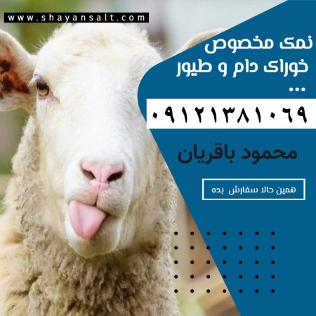 Sugar salt Salt for animal and poultry feed