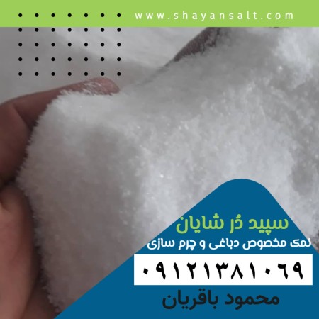 Buying salt for tanning leather and leather