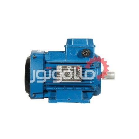 Motogen three-phase electric motor, 3 horses, 1500 rpm