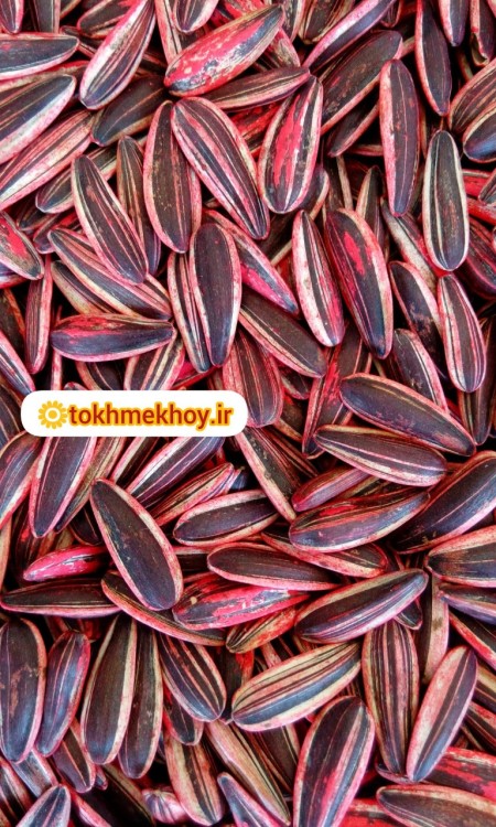 بذر آفتابگردان هیبرید کانادایی s300