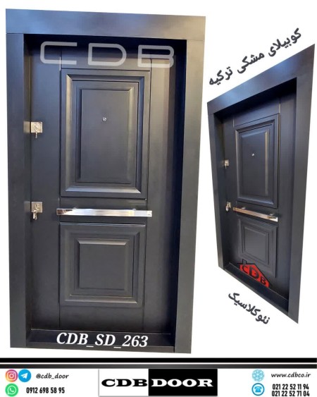 درب ضد سرقت araz door