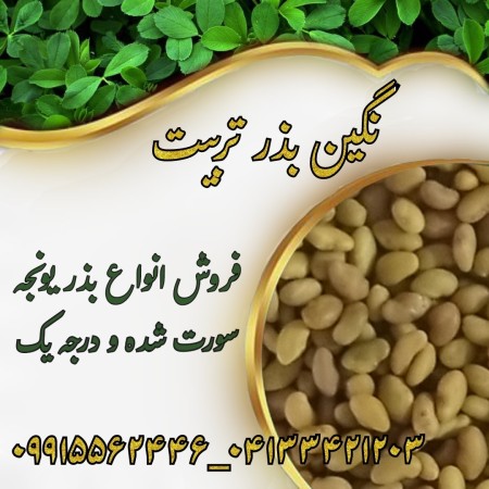 بذر یونجه ، بذر علوفه