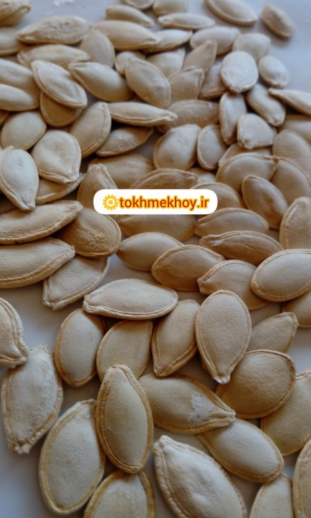 تخمه کدو آجیلی درجه یک