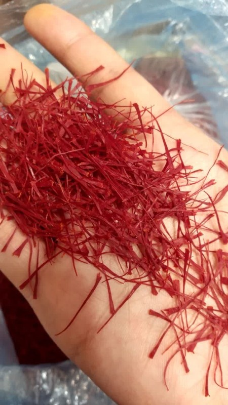 Varieties of Negin and Super Negin iron saffron