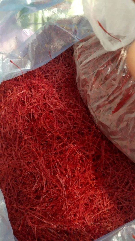 Varieties of Negin and Super Negin iron saffron