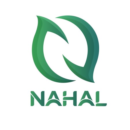 SEO in the Holy City