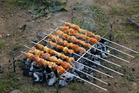 Amazing travel grill