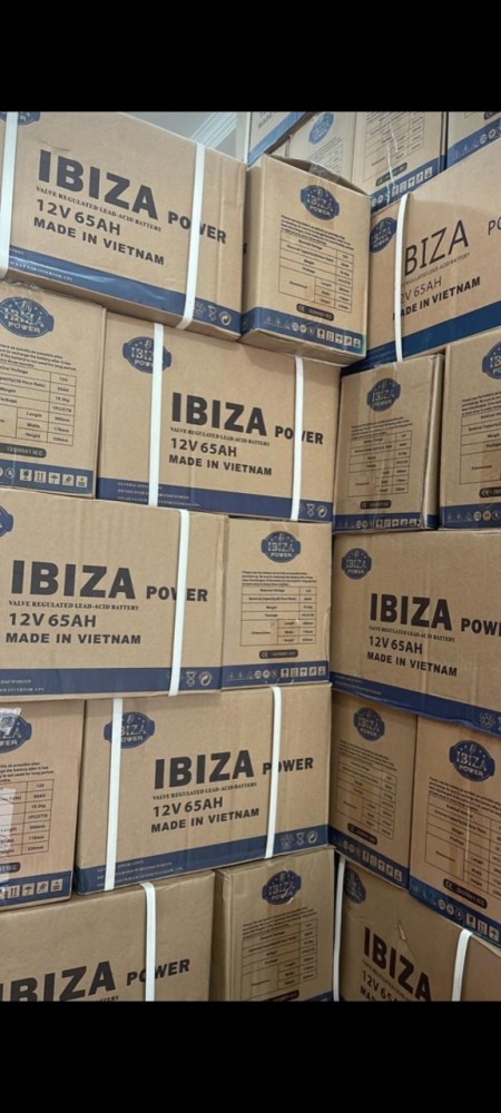 UPS battery, sealed acid UPS, Euronet/Ibiza/Leuch emergency power + valid warranty