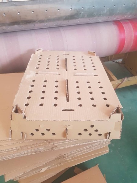 Chicken and egg cartons