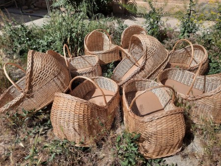 سبد نوزاد مروار