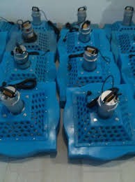 Water tanks and sale of fish air