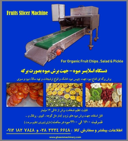 اسلایسر ورقه ساز میوه Fruits Slicer Machine