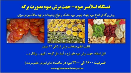 اسلایسر ورقه ساز میوه Fruits Slicer Machine