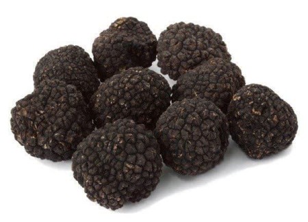 تولید قارچ دنبلان (ترافل)