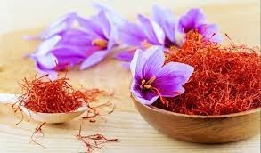 تولید قارچ دنبلان (ترافل)