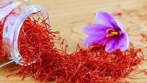Profitable cultivation of saffron