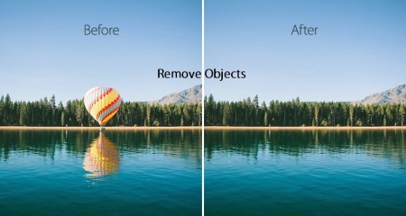 Professional editor and free consultation