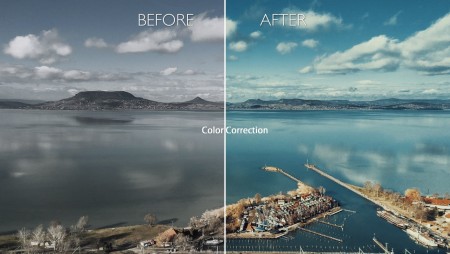 Professional editor and free consultation