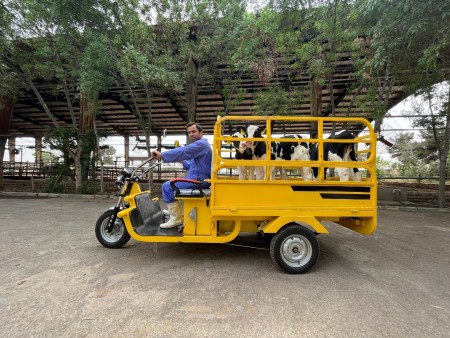 سه چرخه باری