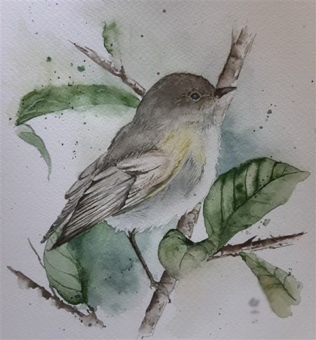 Education of Babylon students