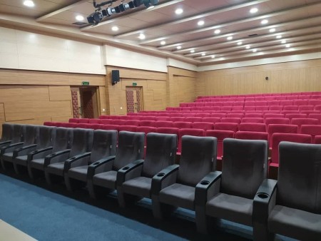 Conference chairs and concert hall chairs