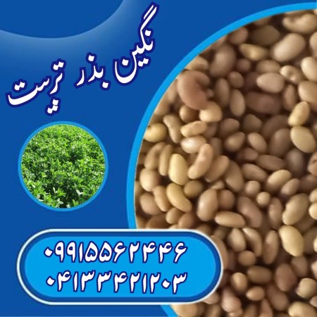 Guaranteed alfalfa seed sales to all locations