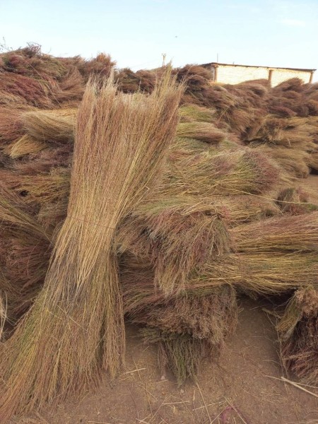 جارو شهرداری با دوام با ارتفاع بلند