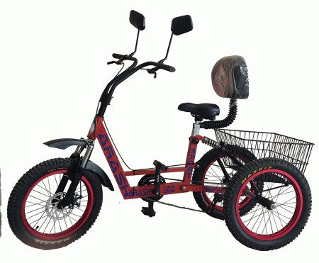 سه چرخه بزرگسالان آرش