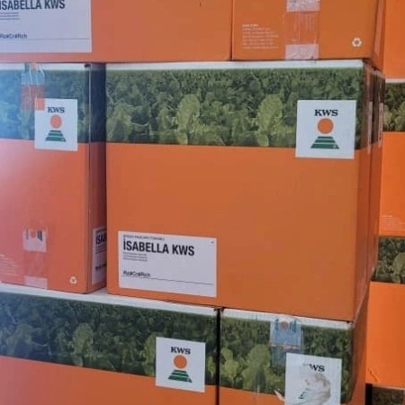 فروش ویژه بذر چغندر