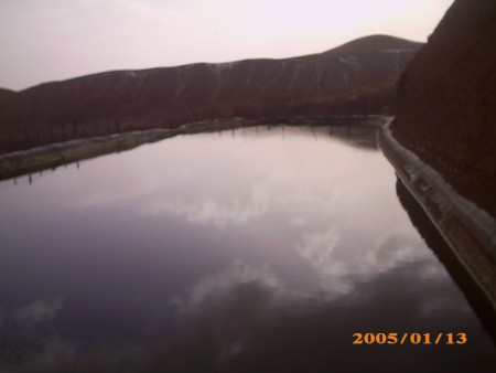 Agricultural polymer sheet