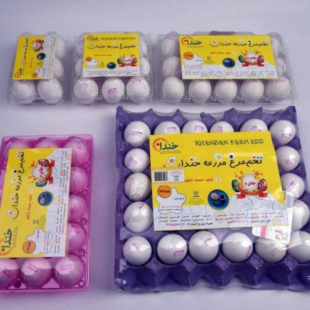 Production and export of smiling eggs
