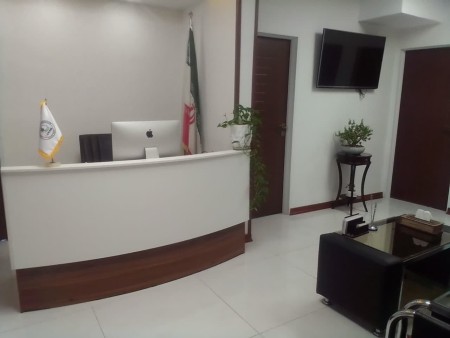 Company registration, brand registration, business card, ISO certificate, website design