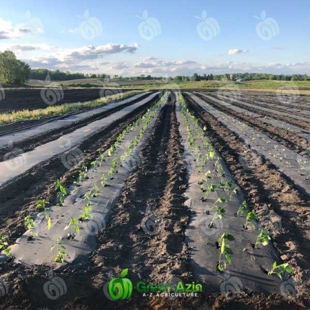 تولید و صادرات مالچ پلاستیکی تک رنگ مشکی