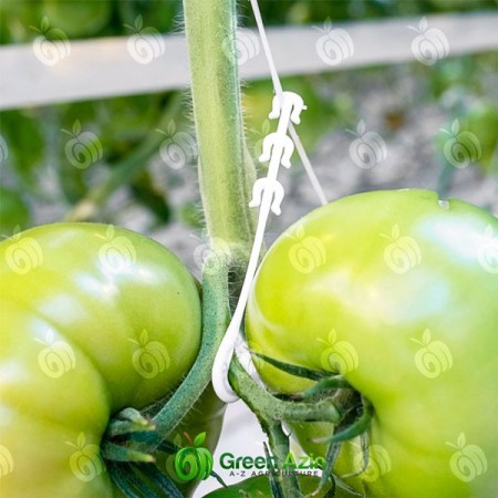 Selling crack holder hook