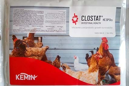 پروبیوتیک کِلُستات کمین