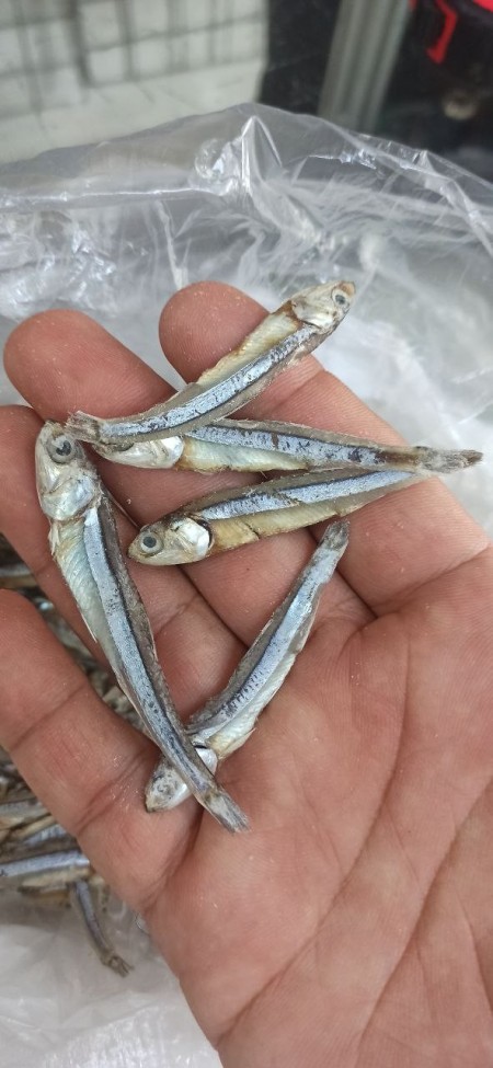 Sale of dry fish for export