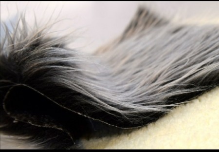 The largest fabric distribution company in Iran