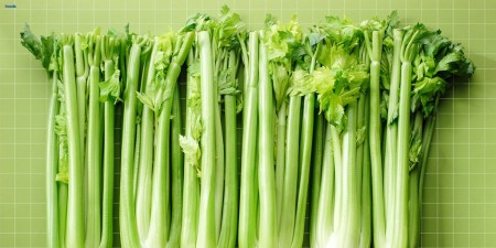 Sale of sodium nitrate with high quality and the lowest market price